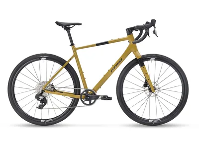 Gavere Pro
