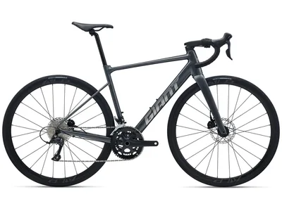 Contend SL 2